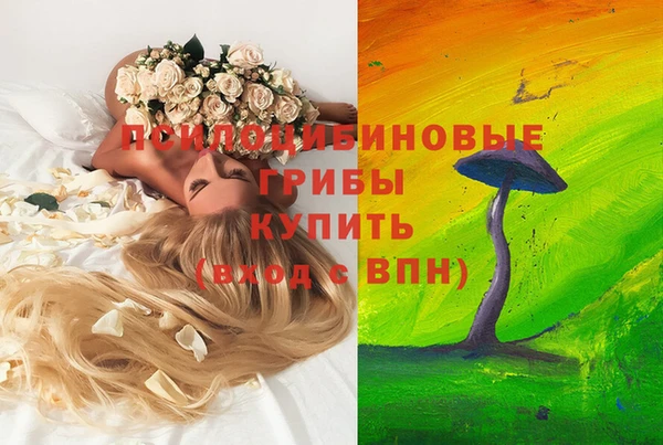 jwh Арсеньев